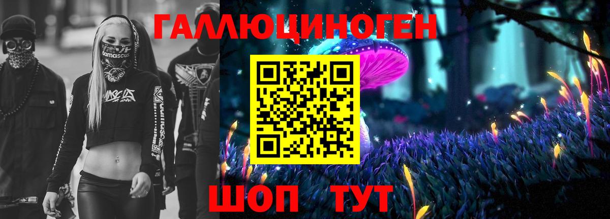 Псилоцибиновые грибы MAGIC MUSHROOMS  наркота  Советск  Вход с VPN  Псилоцибиновые грибы MAGIC MUSHROOMS 